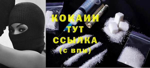 шишки Нягань