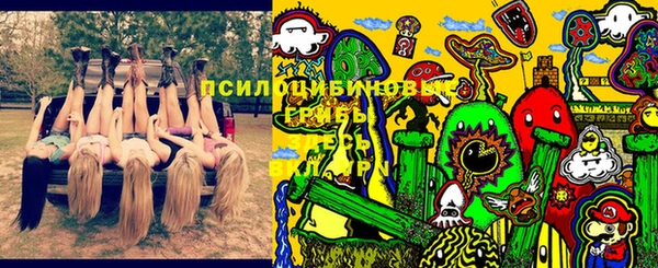 не бодяженный Нязепетровск