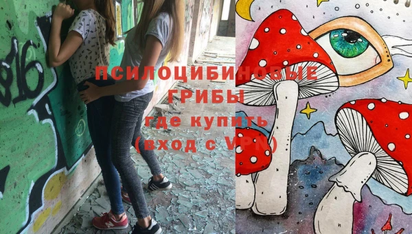 шишки Нягань