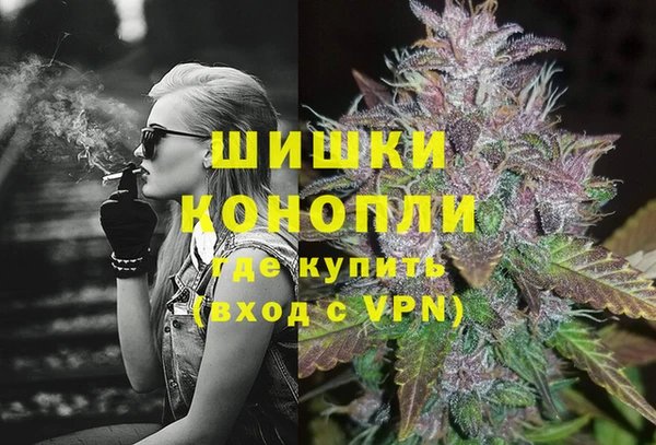 Альфа ПВП Няндома