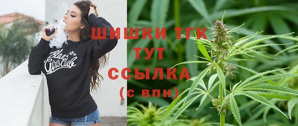Альфа ПВП Няндома