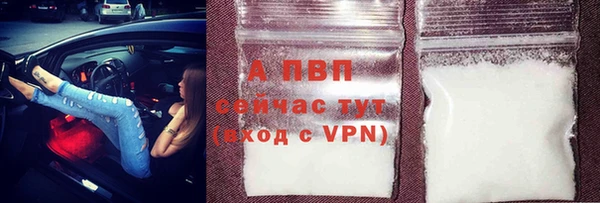 Альфа ПВП Няндома